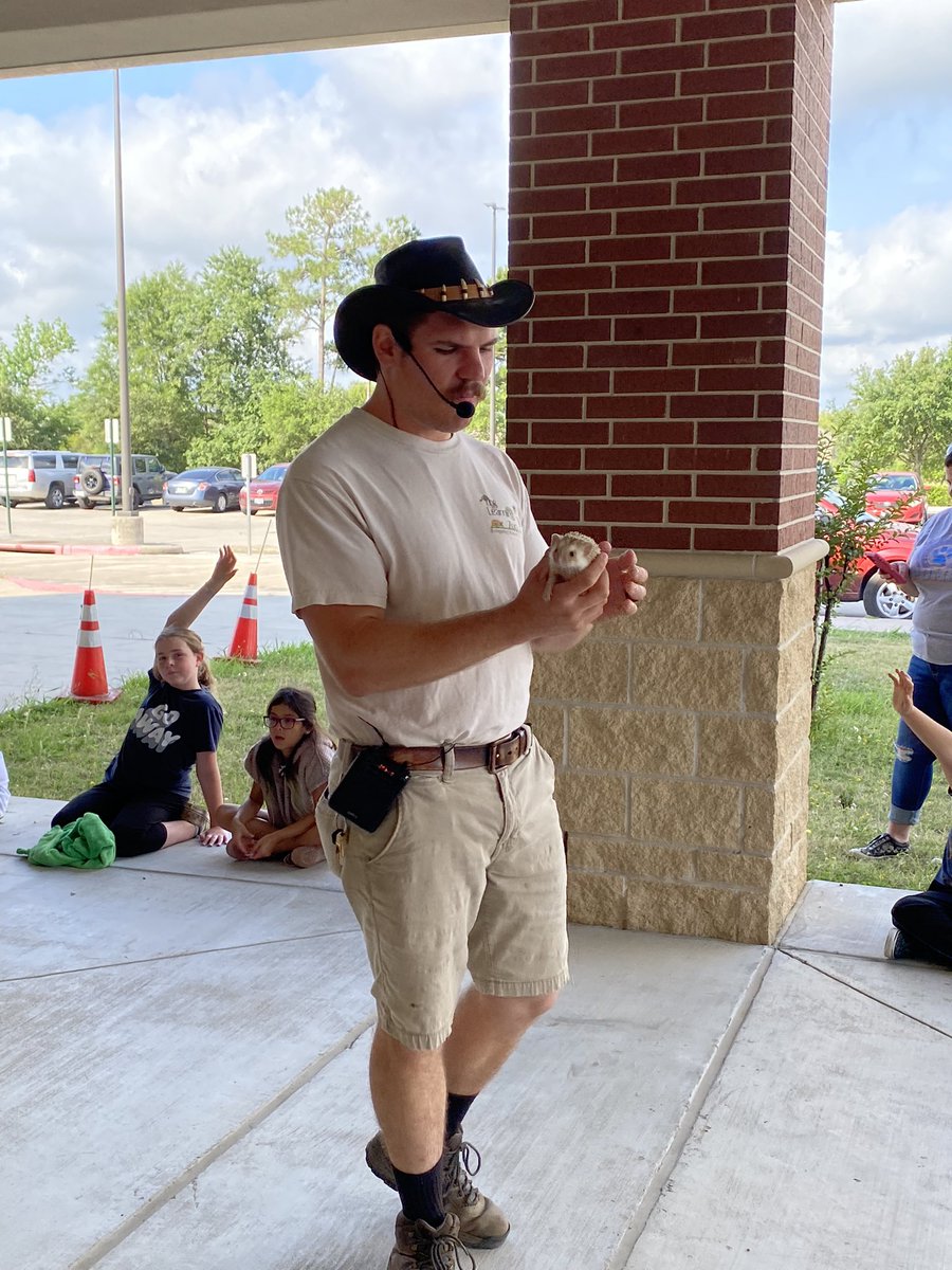 Patterson Elementary tweet media