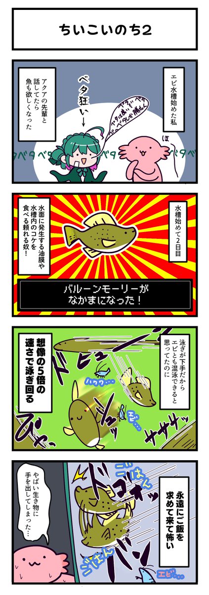バルーンモーリーを飼い始めました🐟
ブログ https://t.co/Ro824CpgxH 