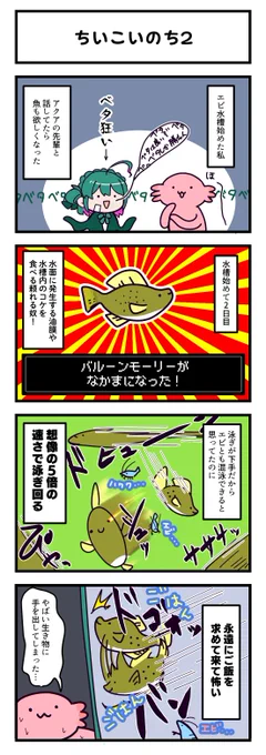 バルーンモーリーを飼い始めました🐟
ブログ https://t.co/Ro824CpgxH 