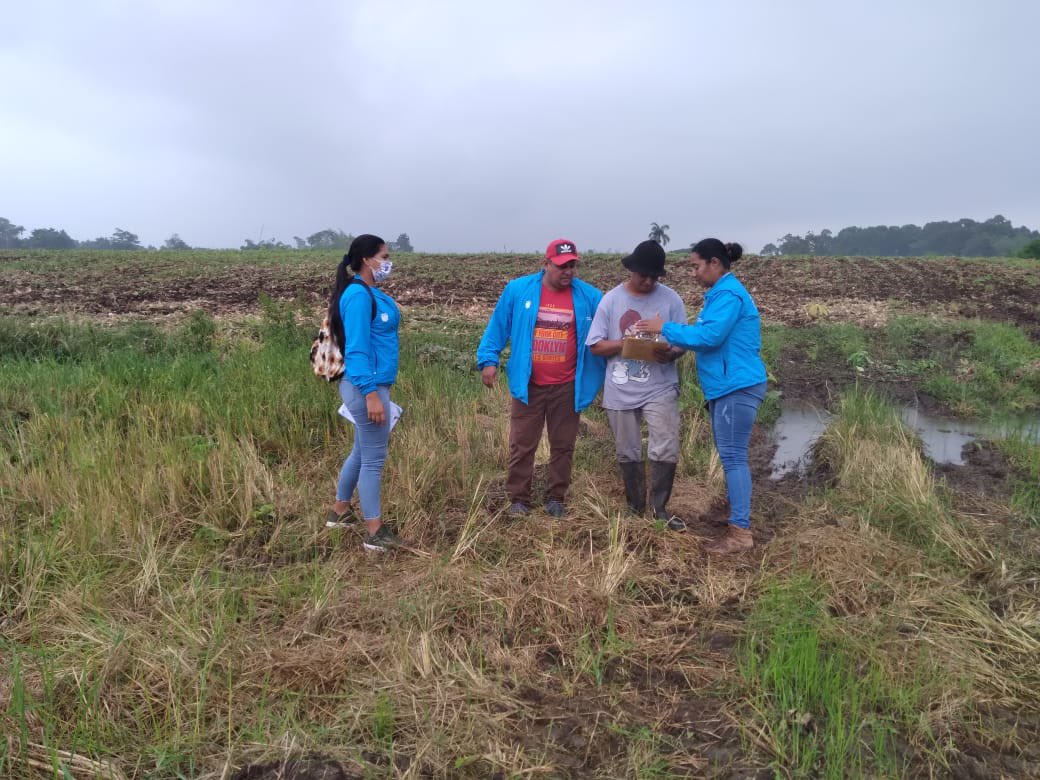 Agricultura_CZ5's tweet photo. En los cantones Vinces y Urdaneta con los técnicos de #SerAgro, visitamos los predios de agricultores para realizar los planes de inversión e inspección del sitio de inversión, previo al acceso de la línea de crédito #SúperMujerRural https://t.co/miEtsw4xpQ