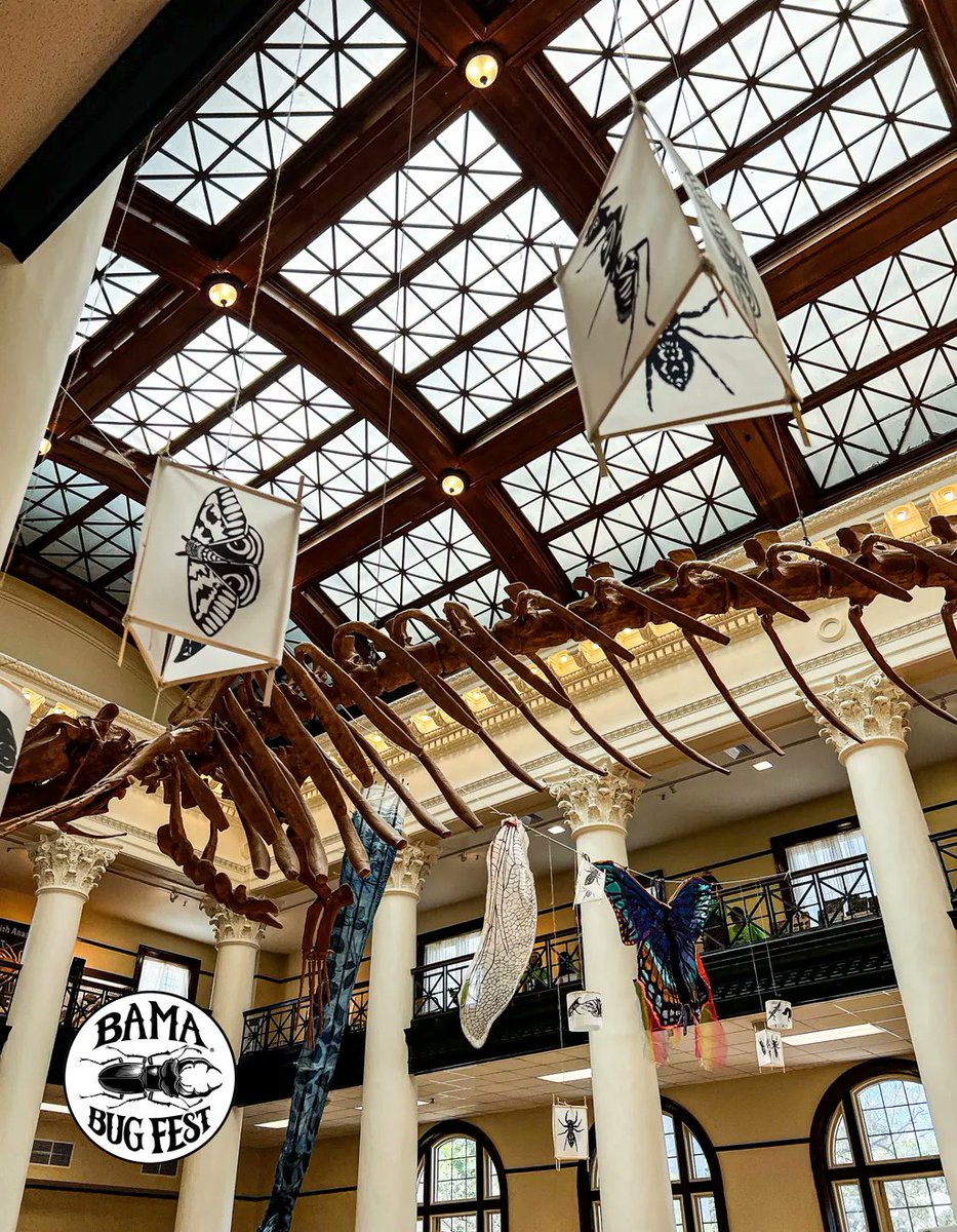 BamaBugFest's tweet photo. Since the Flow Tuscaloosa Lantern Parade is coming up THIS Saturday, May 21st, here is a #ThrowbackThursday to the lanterns that helped decorate the @UAMNH Grand Gallery at #BamaBugFest!
#UAMuseums #RollTide #Tuscaloosa #Alabama https://t.co/kZcvL5PCC1