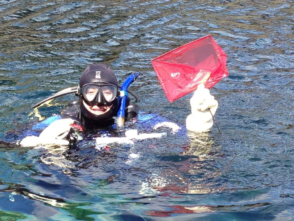 Time for a #ThrowbackThursday post! 
Our very first collection #dive took place in May of 2013 in Logy Bay. Thanks to an incredible team of #volunteer divers, we were able to collect all kinds of critters for our first #aquarium season. You guys are shrimply the best! 🦐