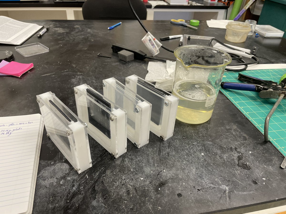maddywormgirl's tweet photo. I never expected science to involve so much jello. (Ft. My extremely scientific jello molds) https://t.co/XMDjqbp5x9
