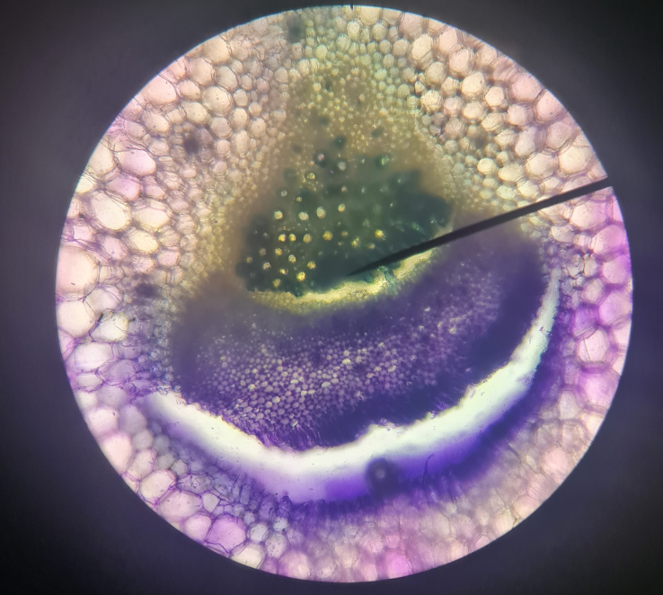 ScienceAshton tweet picture
