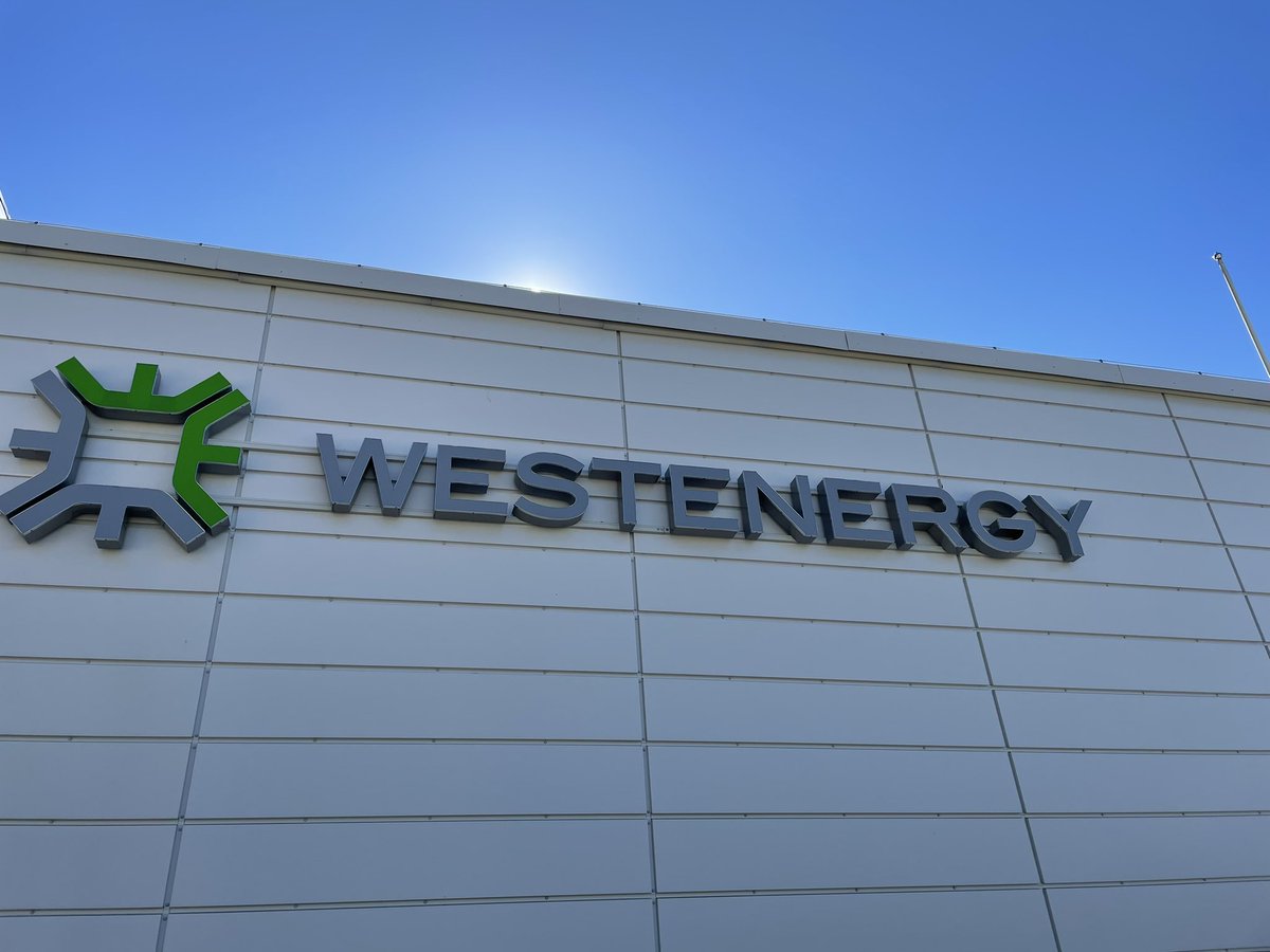 Saskia van Ham tweet media