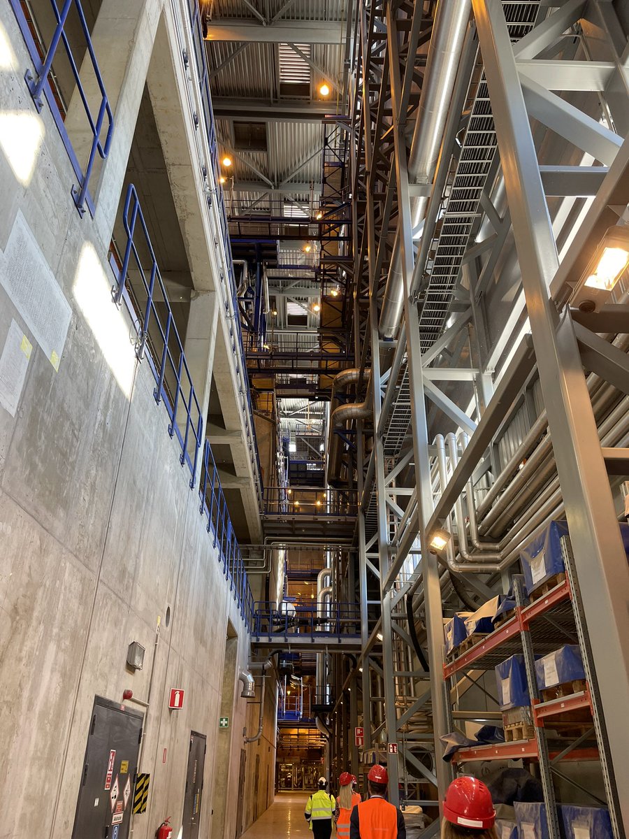 Saskia van Ham tweet media