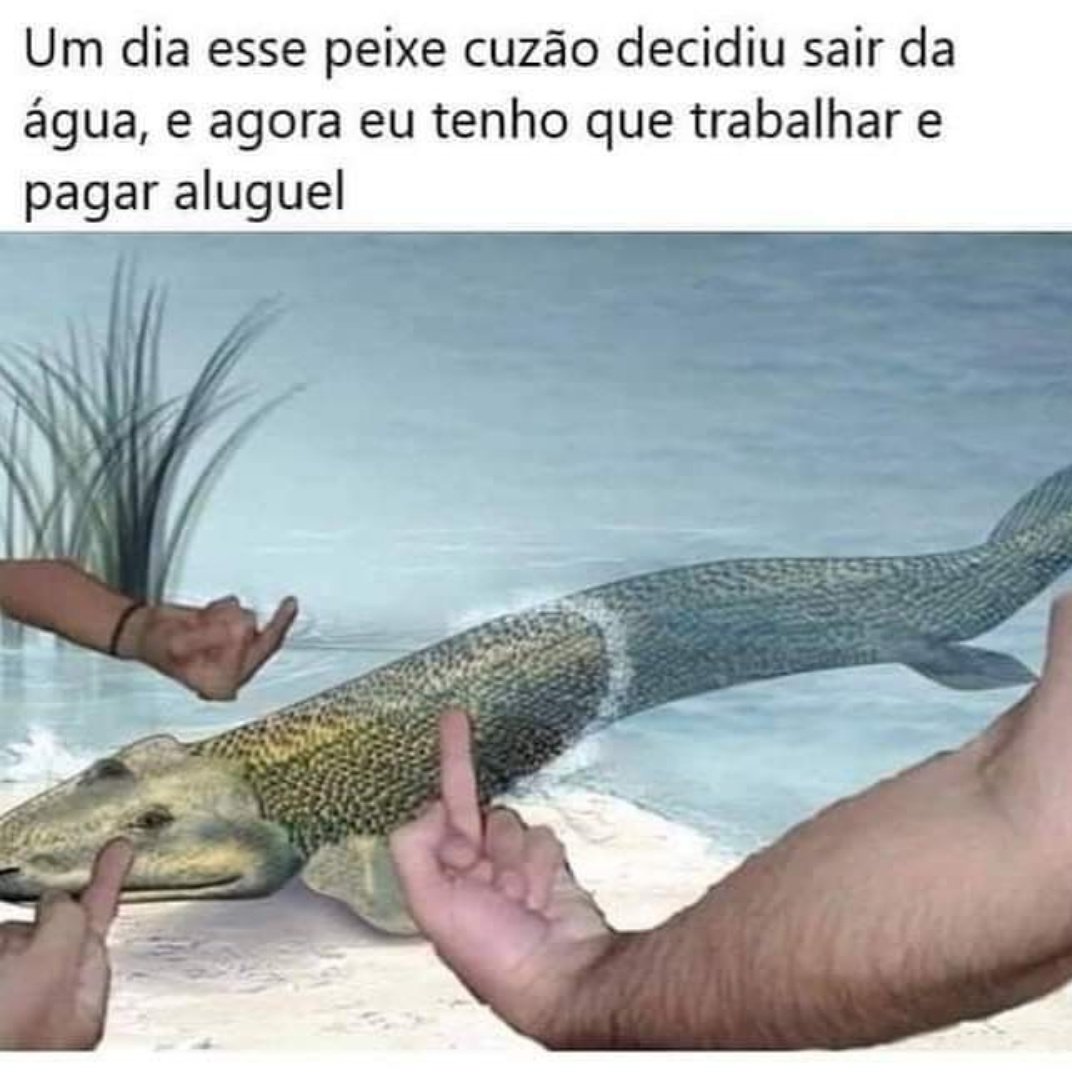 Liedario's tweet photo. @shitpostverdade https://t.co/RNtZ6m2B6e