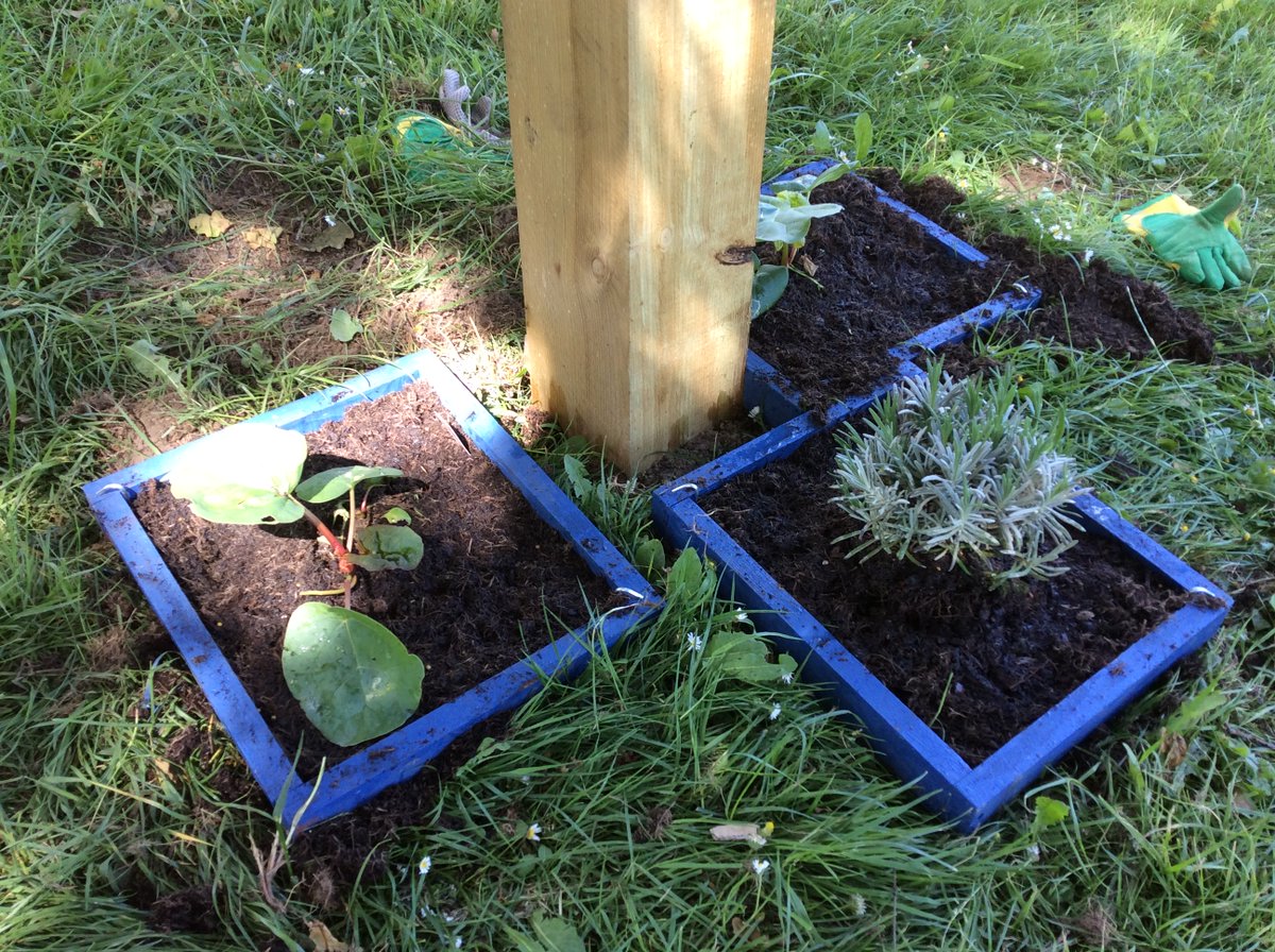 Cotmanhay Juniors tweet media