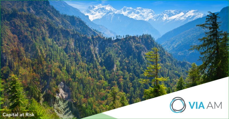 VIAAM_'s tweet photo. VIA AM est fière de travailler à nouveau avec @eden_reforest en soutenant leurs projets de reforestation. A ce jour, VIA AM a permis de planter 14 423 arbres. Apprenez-en plus à propos de nos initiatives ESG > https://t.co/FrAJHYfwyo.
#communicationmarketing #reforestation #ESG