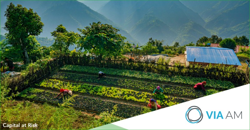 VIAAM_'s tweet photo. VIA AM est fière de travailler à nouveau avec @eden_reforest en soutenant leurs projets de reforestation. A ce jour, VIA AM a permis de planter 14 423 arbres. Apprenez-en plus à propos de nos initiatives ESG > https://t.co/FrAJHYfwyo.
#communicationmarketing #reforestation #ESG