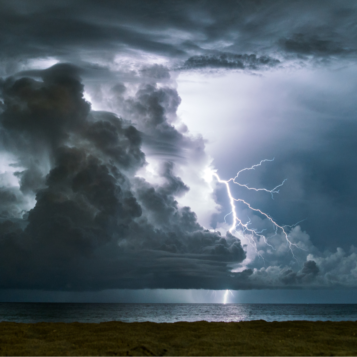 1Weather tweet media