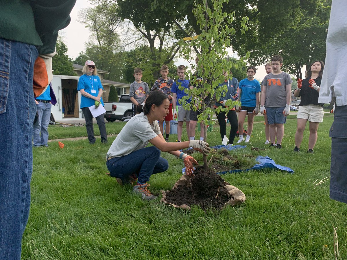 Planting trees with some help from the Chicago Region  Tree Initiative and some neighborhood tree enthusiasts. #d25itspersonal
