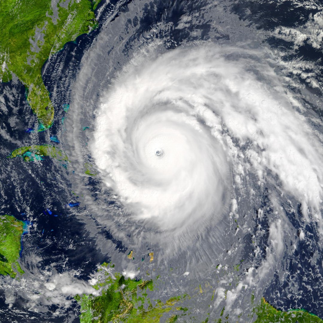 1Weather tweet media