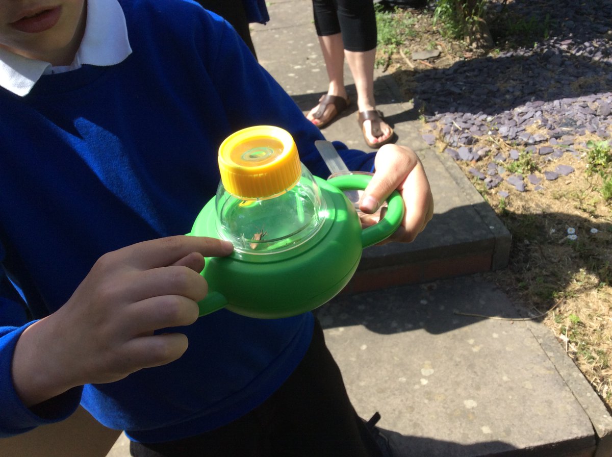 Cotmanhay Juniors tweet media