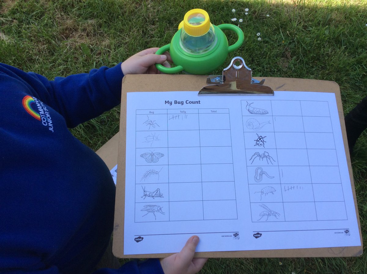 Cotmanhay Juniors tweet media