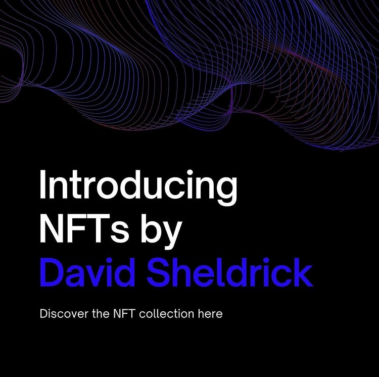 "Colōris" #NFT collection by <a href="/DavidSheldrick/">David Sheldrick</a> is now available on #Foundation✨

Go check it out here⬇
foundation.app/collection/col…

DM to know more📩

FOLLOW US

DC:discord.gg/KgxBjMUbPt
▲●■:foundation.app/@ZenoFineArt

#nftcollectors #nftsold #NFTartist #NFTs #NFTCommunity #nftart