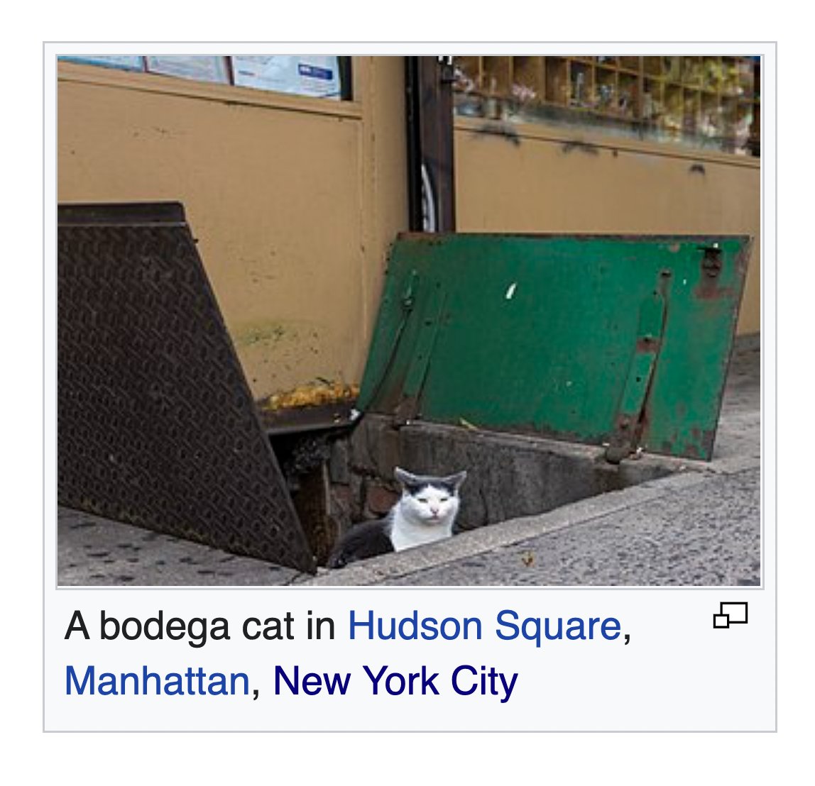 he should be mayor