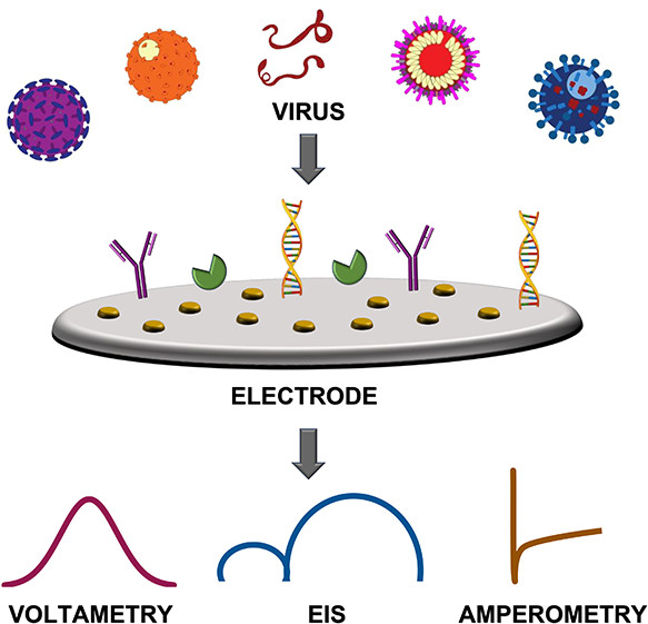 an_chem's tweet photo. Prof. Pavithra Pathirathna provides an overview of the past decade’s advances in point-of-care virus detection using #voltammetry, #amperometry, and #electrochemical impedance spectroscopy. @FlaTechResearch https://t.co/VoeKE60cvP https://t.co/Wtu8rMEhbu