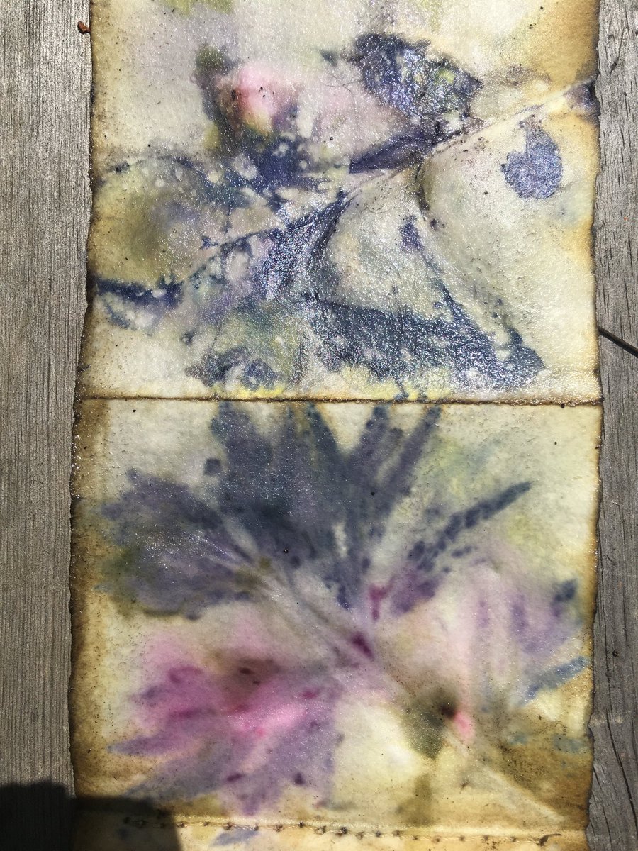 ForestHarvest's tweet photo. #Ecodyeing on paper making books, fabulous #shapes and #colours course run by Judith Israel. https://t.co/khSHh90G0c