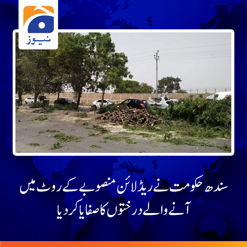 geonews_urdu's tweet photo. برسوں پرانے نیم اور دیگر درختوں کو جڑ سے کاٹ دیا گیا، پرندوں نے اپنے آشیانے کھو دیے،مزید درختوں کی کٹائی کا کام بھی جاری ہے

مزید پڑھیں: https://t.co/bmANK9wedD

#RedLine #Karachi #SindhGovt #TreesCutDown #Trees #heatwave https://t.co/dcohpTnWr8
