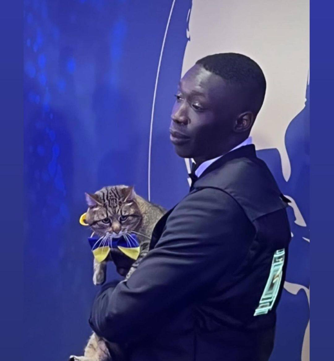 galcpmedia's tweet photo. Influencer #cat Stepan from #Kharkiv who escaped war in Ukraine became the #WIBA 2022 titleholder. On 18th May, the fourth edition of the World Influencers and Bloggers Awards honored the remarkable talents in various domains in Cannes. #LoveYouStepan #stepan #CatsOfTwitter https://t.co/IdvjnR3Awk