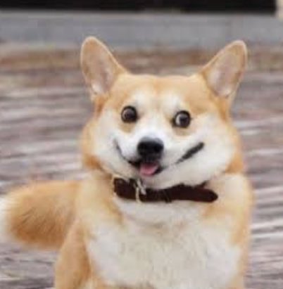 changbin right now 👁👄👁