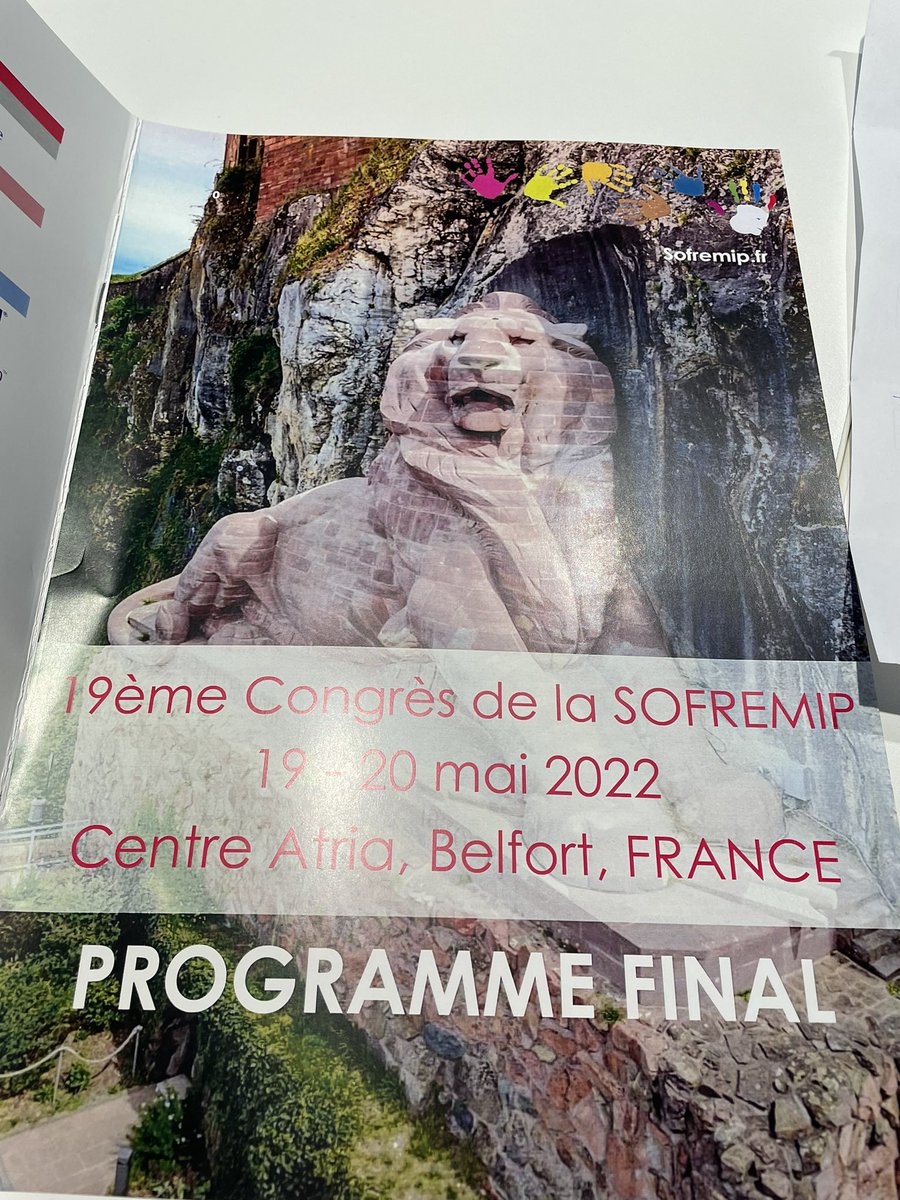 LaurentGrange's tweet photo. Journée #SOFREMIP  en ce moment à Belfort nous parlons #ETP et #APA https://t.co/stiSFfipLK