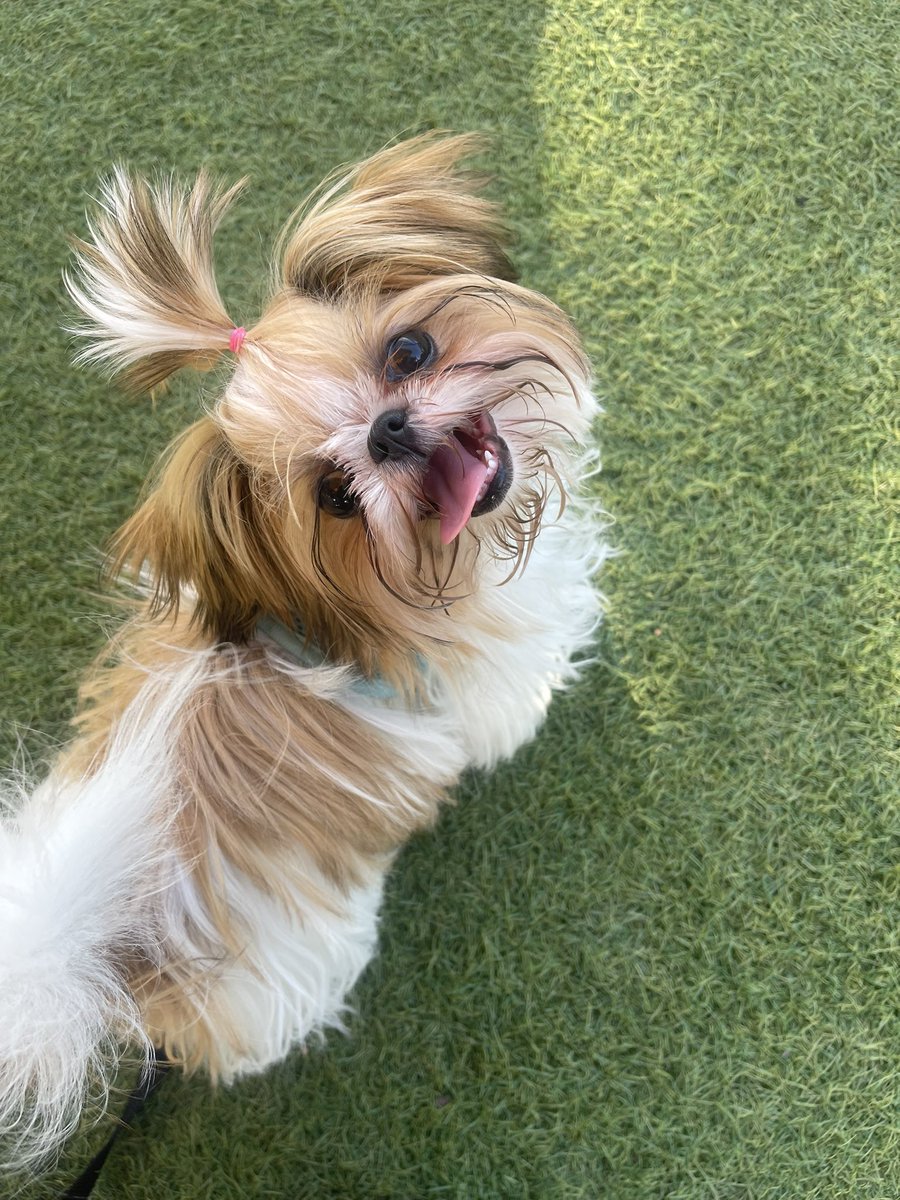 My love Xena having an amazing day❤️