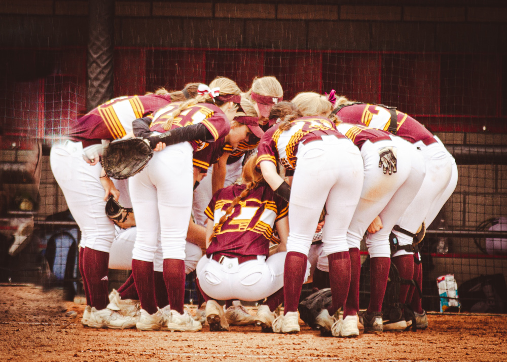 Walsh Jesuit Softball tweet media