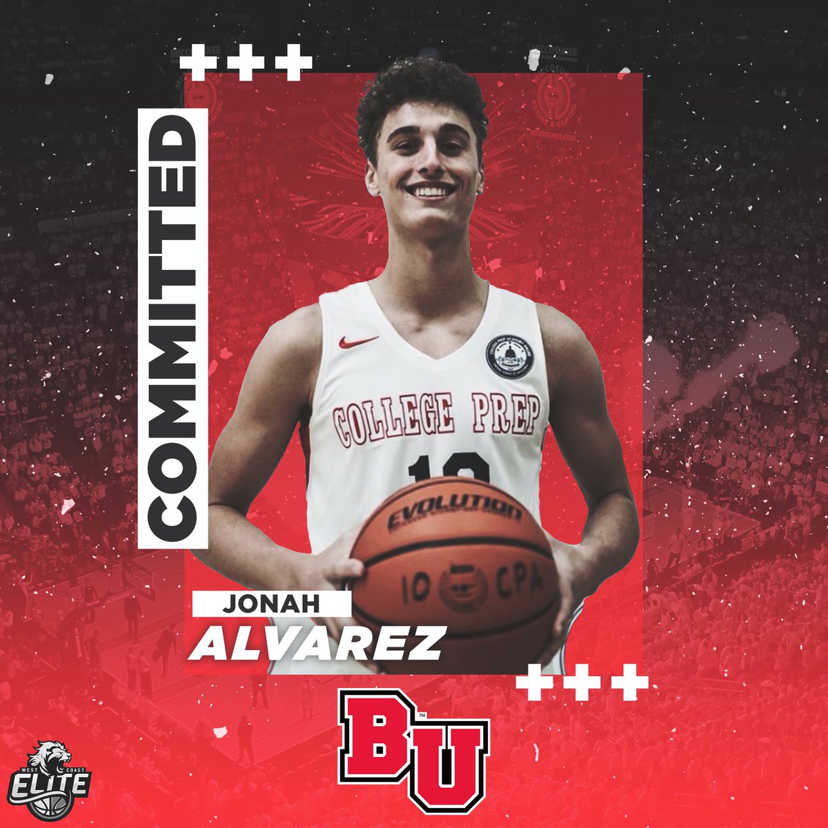 All In Elite UA tweet media