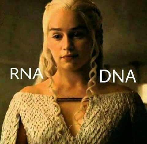 DNA&RNA Universe 𝕏 tweet media
