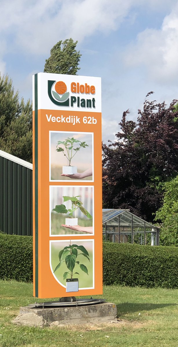 #StormCorrie had onze reclamezuil verwoest! 
Maar sinds vandaag is Globe Plant Vierpolders weer makkelijk te vinden! Binnenkort krijgt Globe Plant Brielle ook zo’n schitterende zuil…