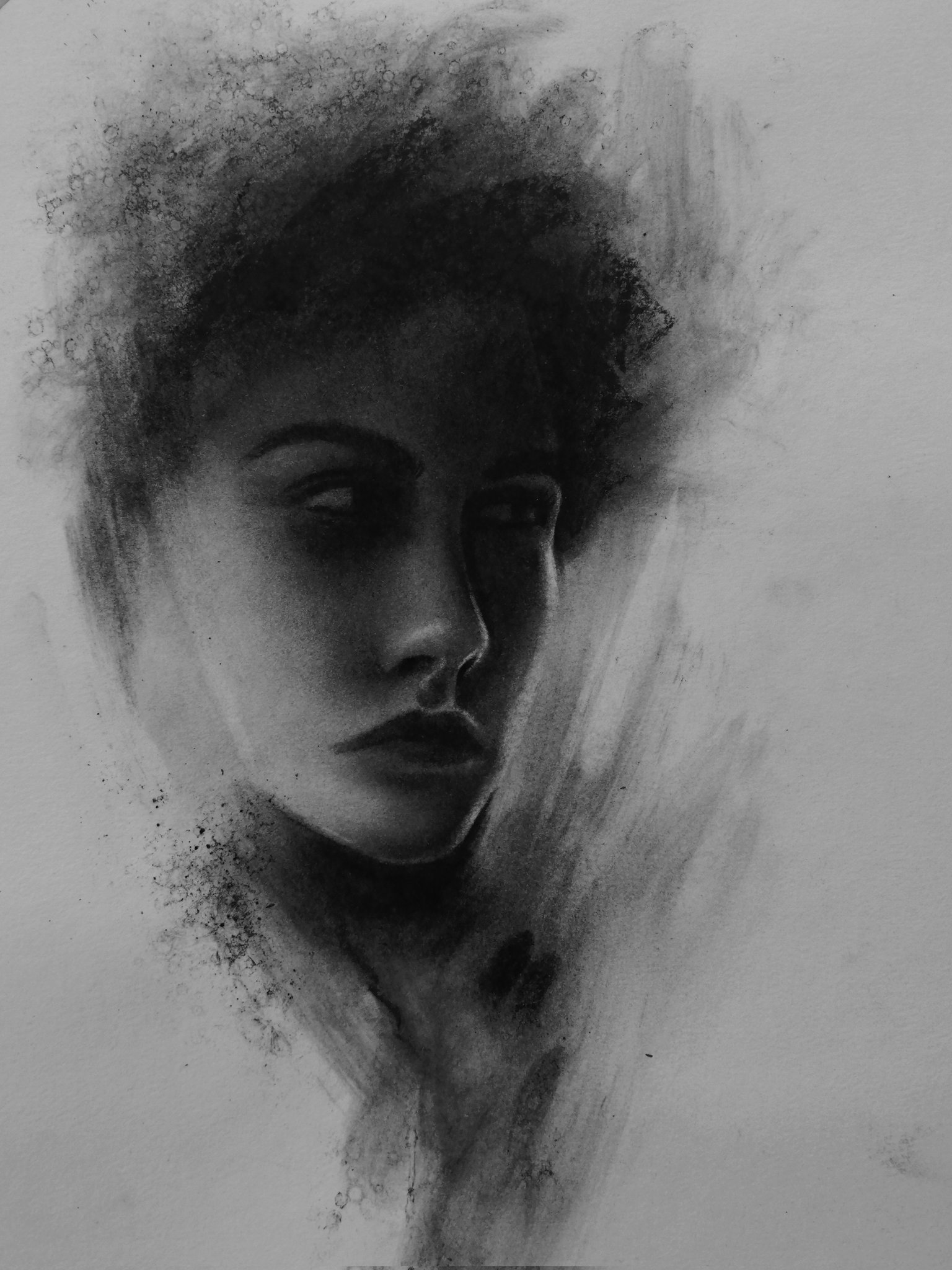 First powder experiment, Sparrow on branch, charcoal on paper, me :  r/CharcoalDrawing