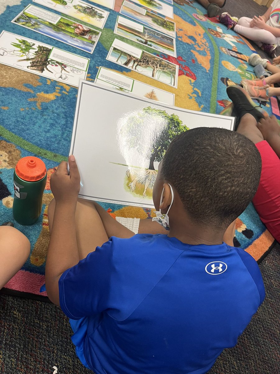 CallisonMadsen's tweet photo. 1, 2, 3 … explore the stories of botany with me!
@hecorleyelem #HECLeads #HECmontessori #montessori #teacher #teach #education #botany https://t.co/B0ePT6nwJ5