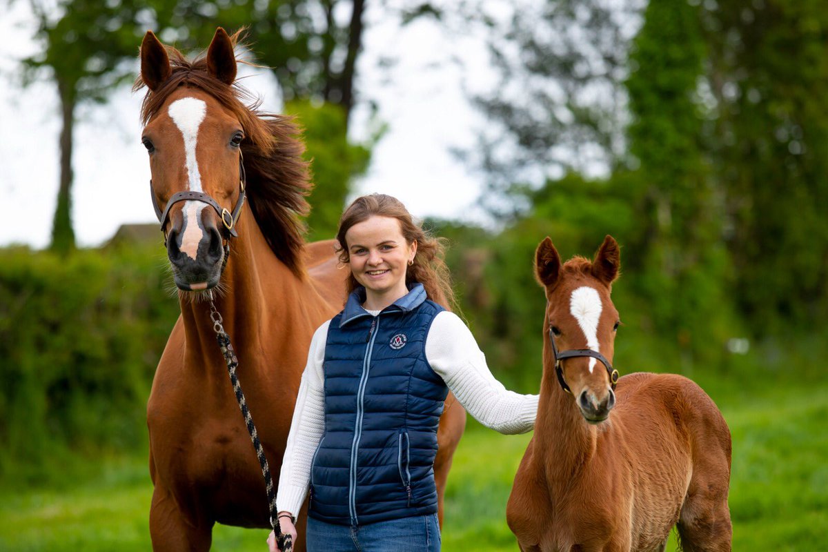 Something different this week! Quick few words in the <a href="/farmersjournal/">Irish Farmers Journal</a> <a href="/TowAndFert/">Tow And Fert Europe</a> <a href="/DLF_IRL/">DLF Seeds IRL</a> farmersjournal.ie/my-farming-wee…