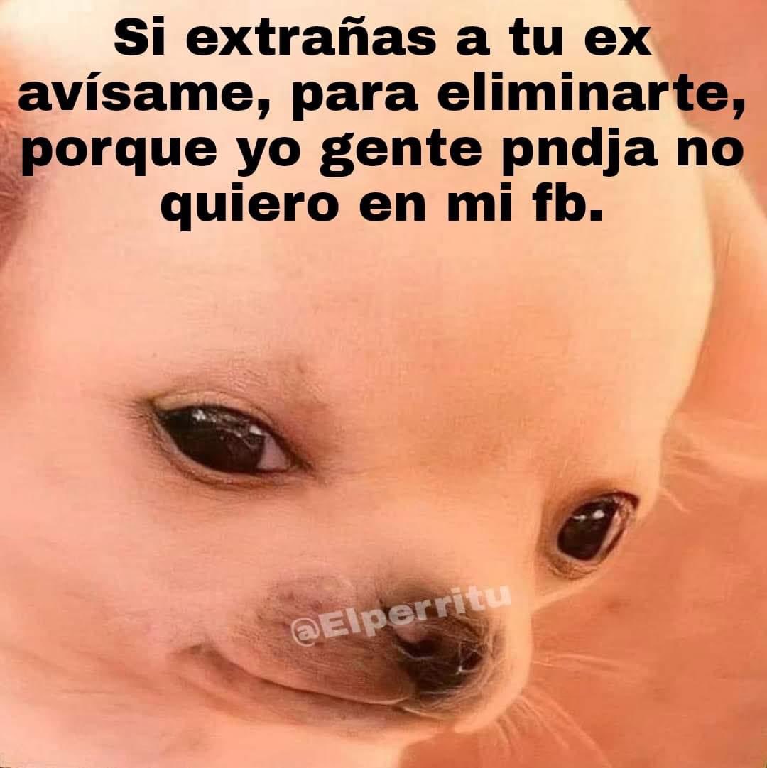 kesiperrito's tweet photo. https://t.co/gdJFrZ6FLe