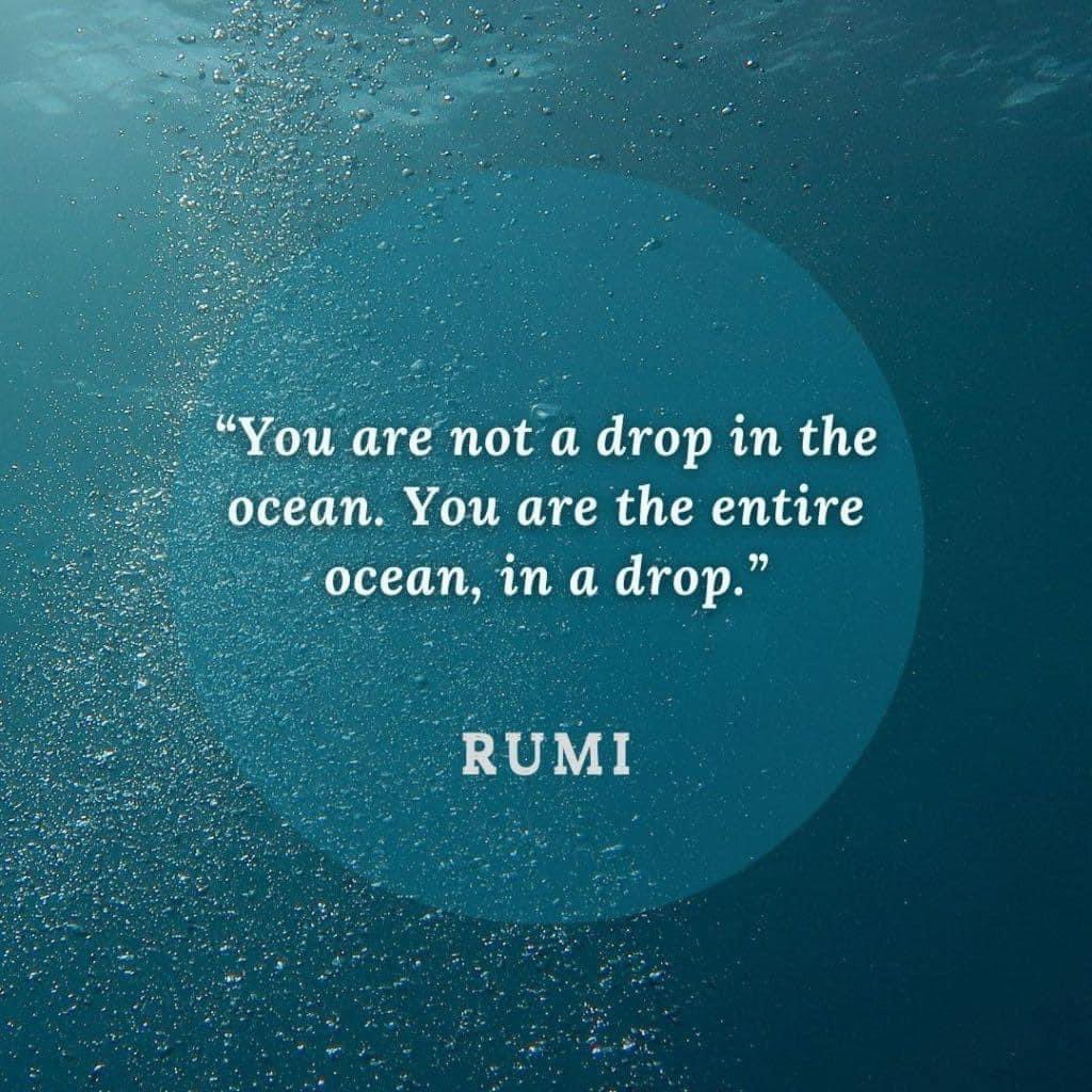 timelesssoul1's tweet photo. You are an entire ocean in a drop! #beingoflight #anoceanofdelight #Rumi https://t.co/UqxUlEOwDu