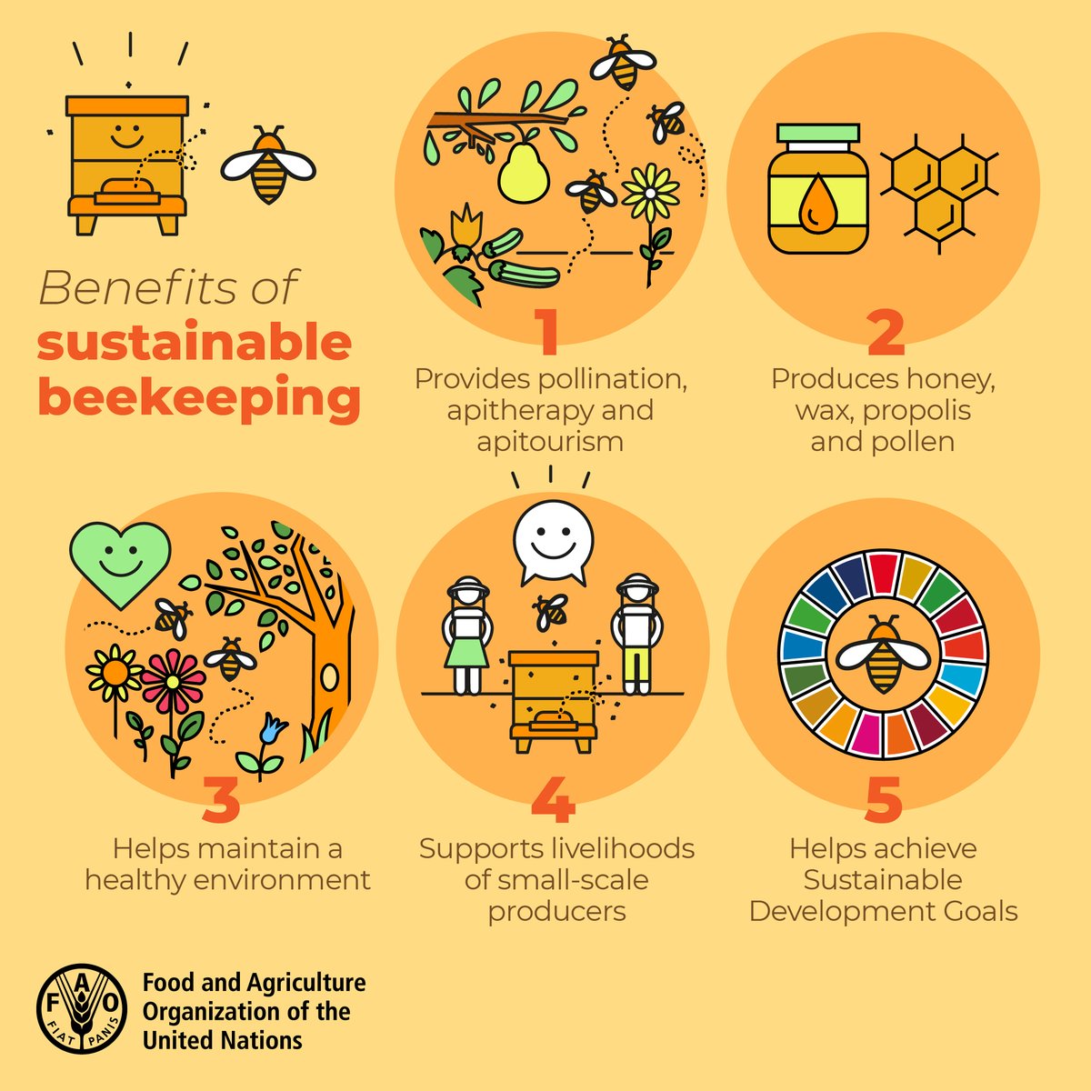 🐝5 benefits of sustainable beekeeping 👇

#WorldBeeDay #SaveTheBees