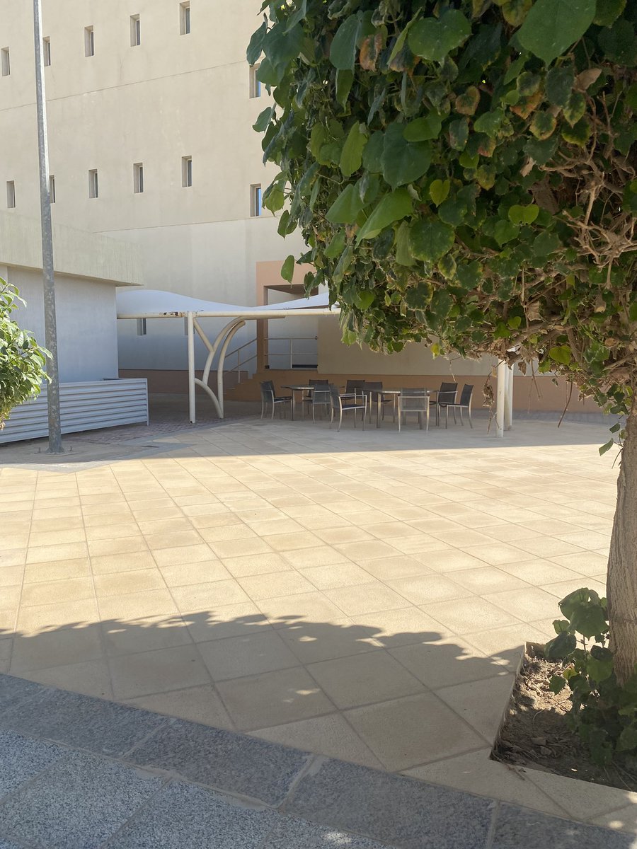 lama__in's tweet photo. اليوم قررت أن أذهب لنقطة البداية”COSHP”في ر��لة يرافقني فيها ذاتي المحملة بالعديد من الذكريات، توقفت برهة بعد هذه الرحلة الطويلة مدركة أنه لامستحيل مع الصبر والإصرار،وأيقنت بشّدة أن أقدار الله كلها خير، و أن المكتوب لك سيأتيك وما لم يكن لك لن تناله بقوّتك https://t.co/ZdOfJVioJU