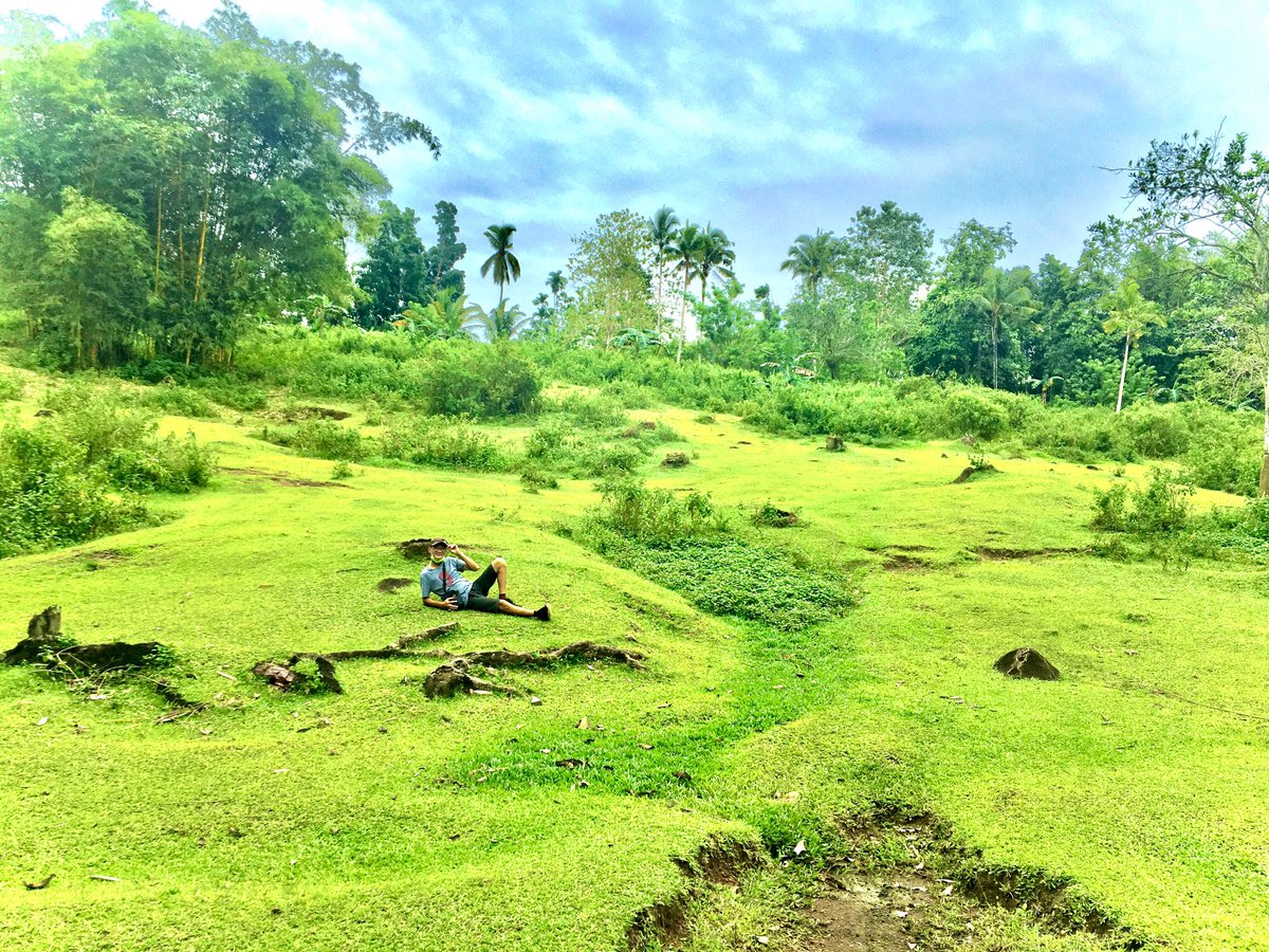 elmer mon tweet media