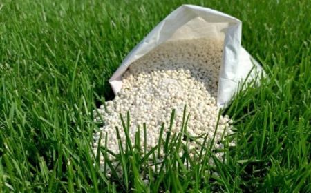 Mali : la subvention des intrants pour la campagne agricole 2022/2023 coûtera finalement 27 millions $ | agenceecofin.com/breves-agro/19…