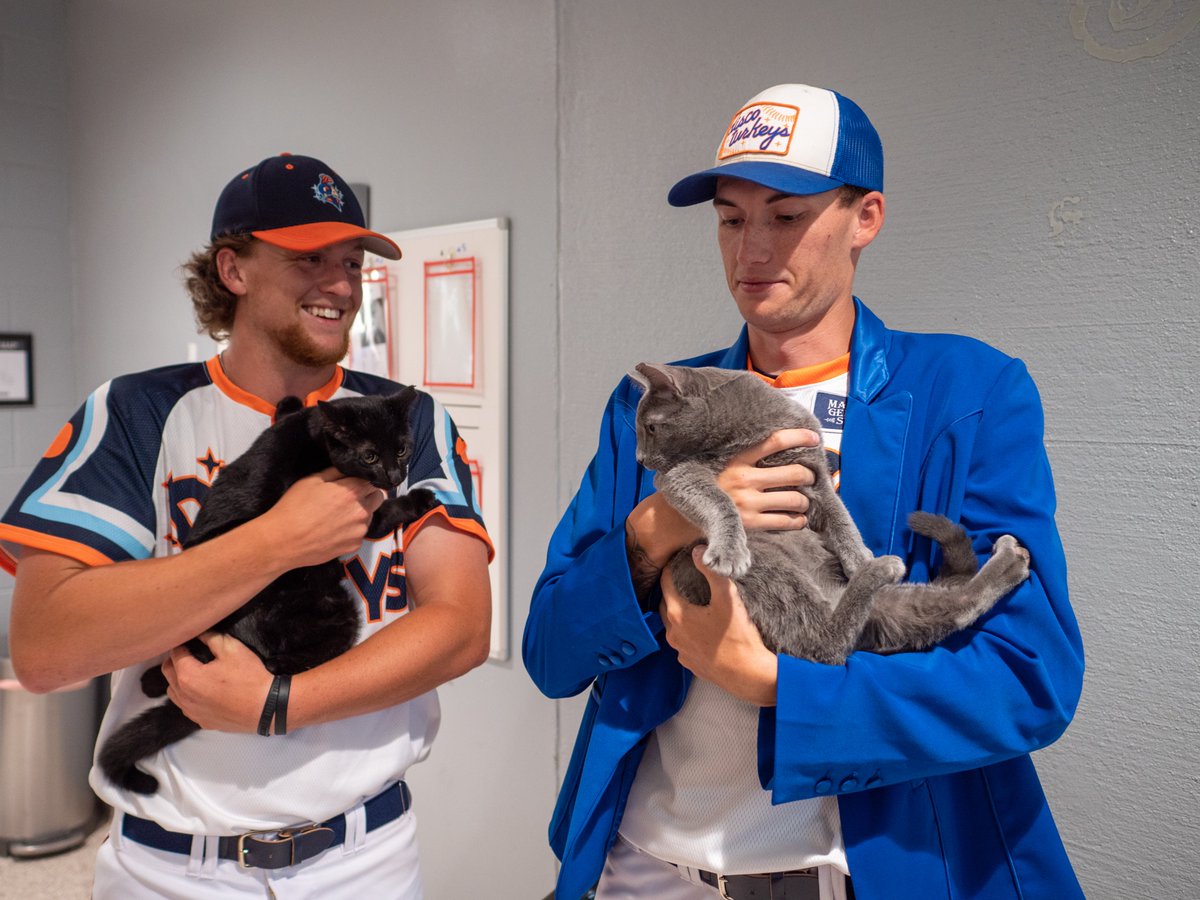 discoturkeys's tweet photo. You've heard of "Bark in the Park" nights, but how about the somewhat rare Cat Night? 

We're doing a Caturday Night Fever game on Sat, 5/28 at Truist Stadium! Looking forward to teaming up with @ForsythHumane 

Read more: https://t.co/uKdR8NKJhk
@MiLBPromos @thedickbutkus https://t.co/0J9GciKEXX