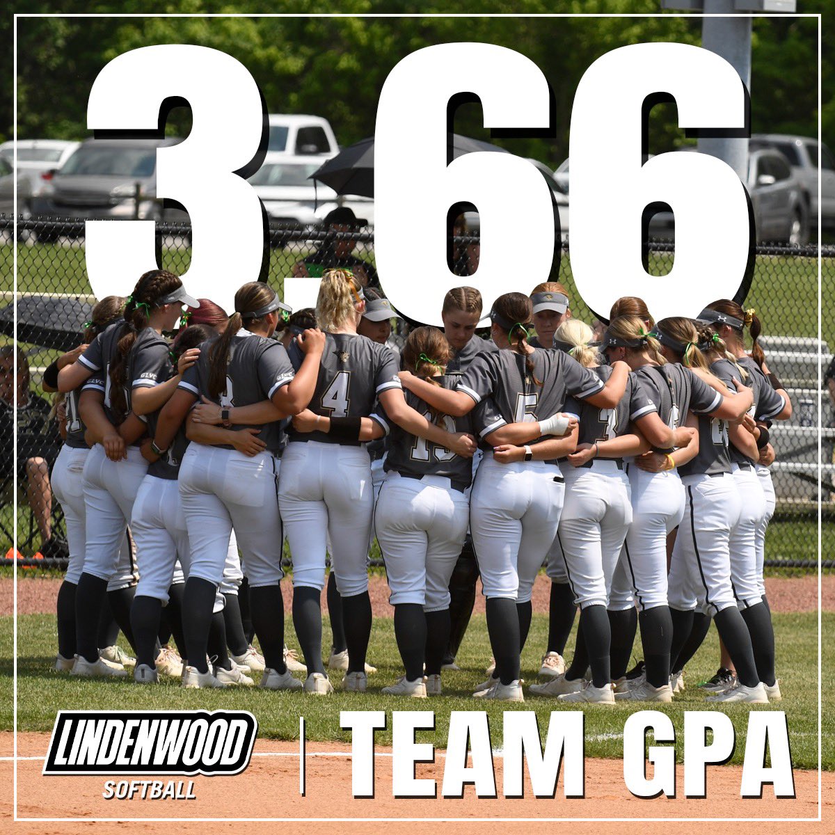 Lindenwood Softball tweet media