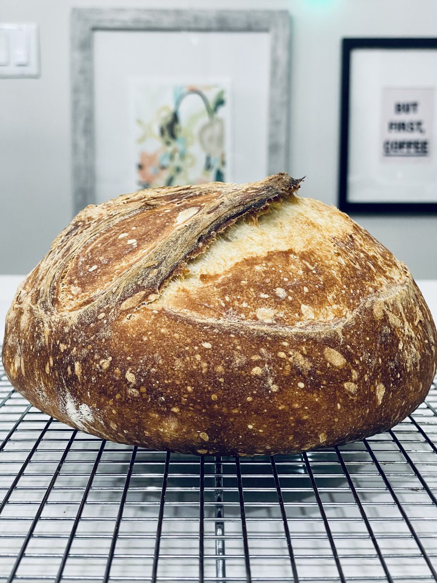 arundeepyeg's tweet photo. In some personal news, I baked this at midnight.
I think this is my best work yet. 🥖
#BreadTwitter https://t.co/fThRzw6GDI