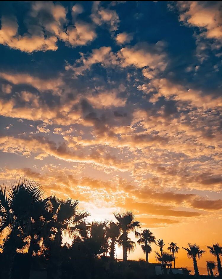 📣FOTO DEL DÍA

🔔Síguenos: <a href="/LateMalaga/">Late Málaga | Cultura, Historia y Gastronomía</a> 

📍Torre del Mar, Málaga.

Créditos: portalealba (instagram)

#latemalaga #malaga #andalucia