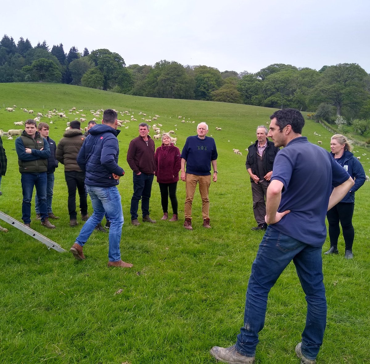 FlockHealth's tweet photo. Fantastic engagement from all our @FarmingConnect farmers - series of mtgs applying #FivePointPlan to combat #lamesheep & learning some great #grassgrowingtips at the same time!
Great job @PhillipaFarmVet Tom & @MJonesTrefnant https://t.co/IE1KHC5TRs
