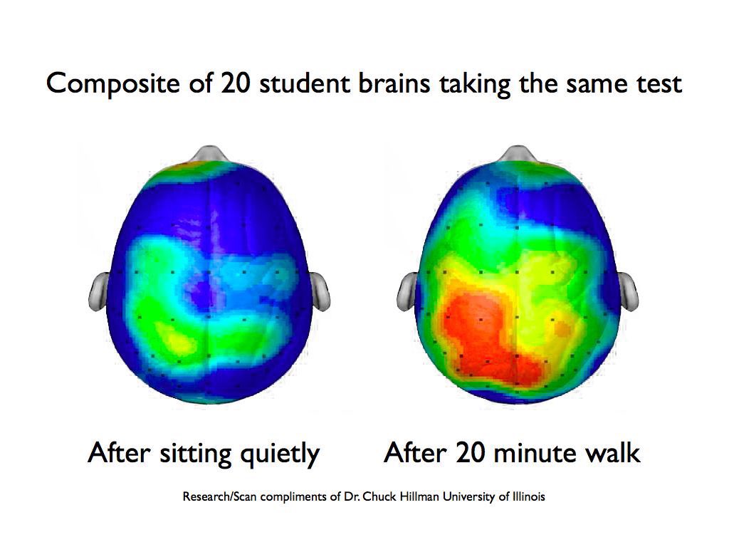 🧠 ENTRENA TU CUERPO PARA ENTRENAR TU MENTE

👊🏻Actividad cerebral en reposo Vs. Después de andar 20 minutos: 

🚩NO dejes de entrenar en época de exámenes 

🚩NO dejes de entrenar en épocas de mucho trabajo

✅El ejercicio físico es insustituible