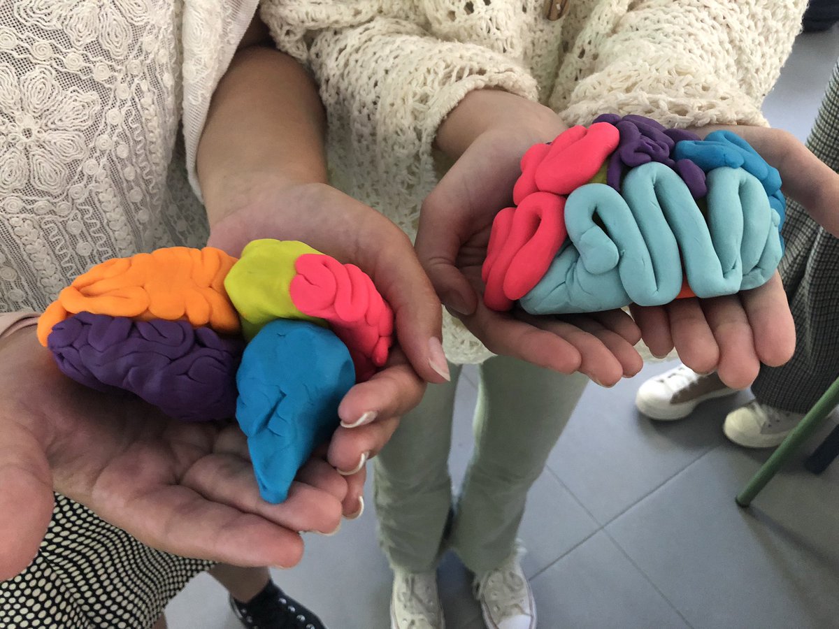 alexanderlaurae's tweet photo. Brilliant brains today Year 12 #Psychology #AmazingLearning #LESRocks #ISPSchools https://t.co/5PWSU1CkhD