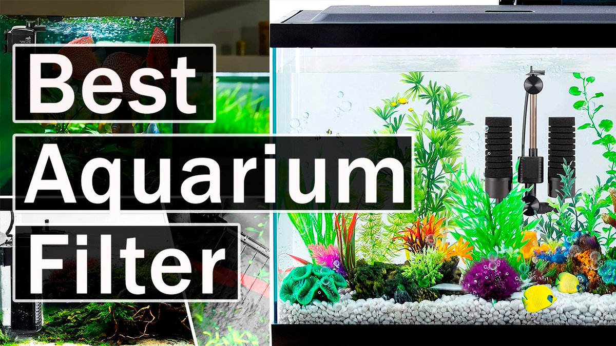 mapok_s's tweet photo. 5 Best Aquarium Filters in 2011 🐟🐠
#Aquarium #Filters 
https://t.co/ACLSP7pOAa https://t.co/2W7OTuG3dR