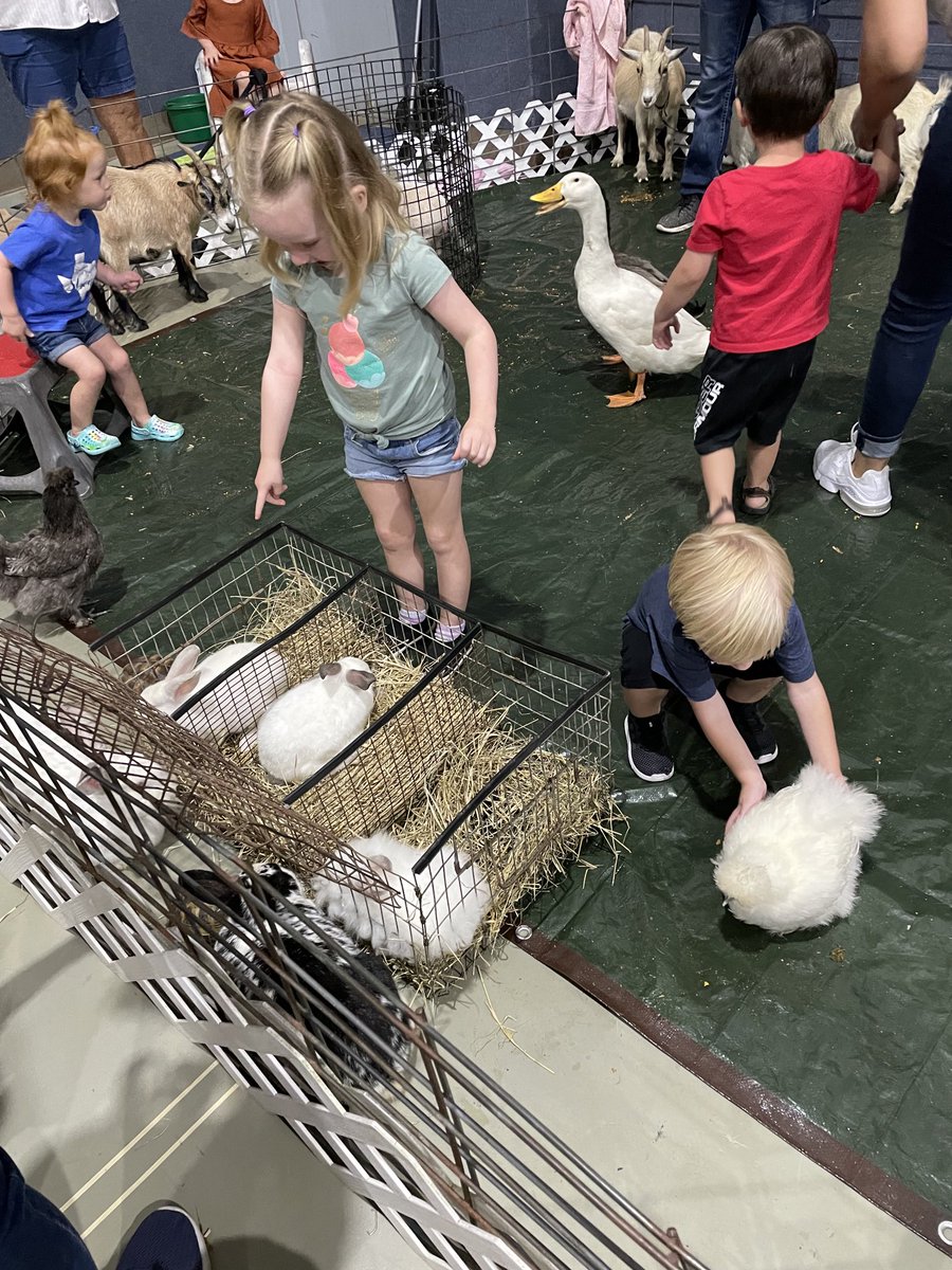 amccagg1's tweet photo. Pony time for Pre-K and big kids at Learning Tree #trojanpride #cterocks @JBJohnson810 @andreawenke @CteShhs @PISDCareerTech @MrsKvAlba ⁦@KHollins6⁩ https://t.co/K1wn7vYMTw